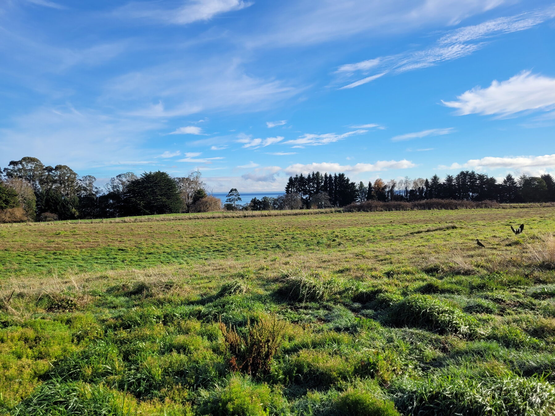 Campo abierto con vista al mar interior, Región de Los Lagos
