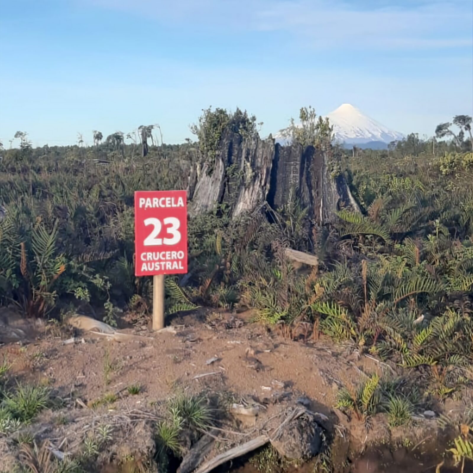 Parcela 23, Crucero Austral, deslinde marcado con volcán al fondo