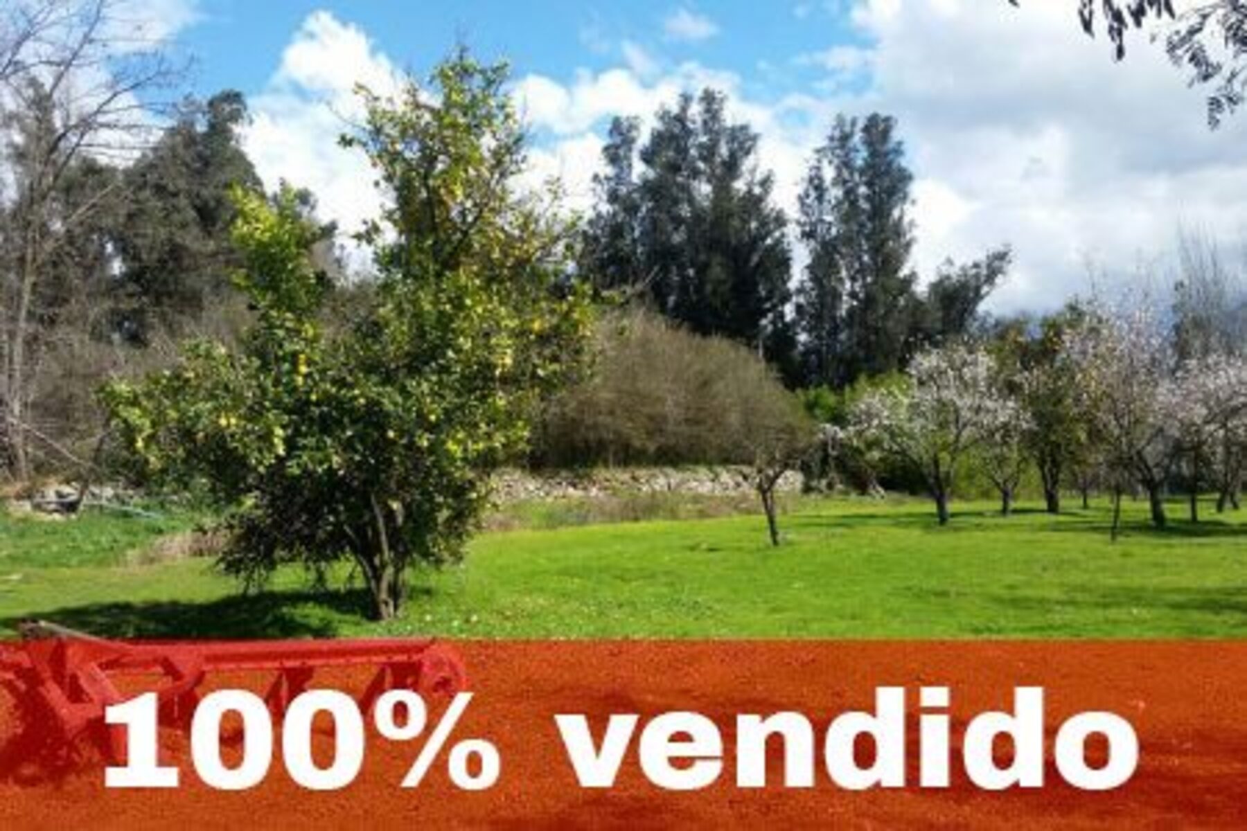 Parcela en Los Almendros de Angostura, frente al Casino Monticello