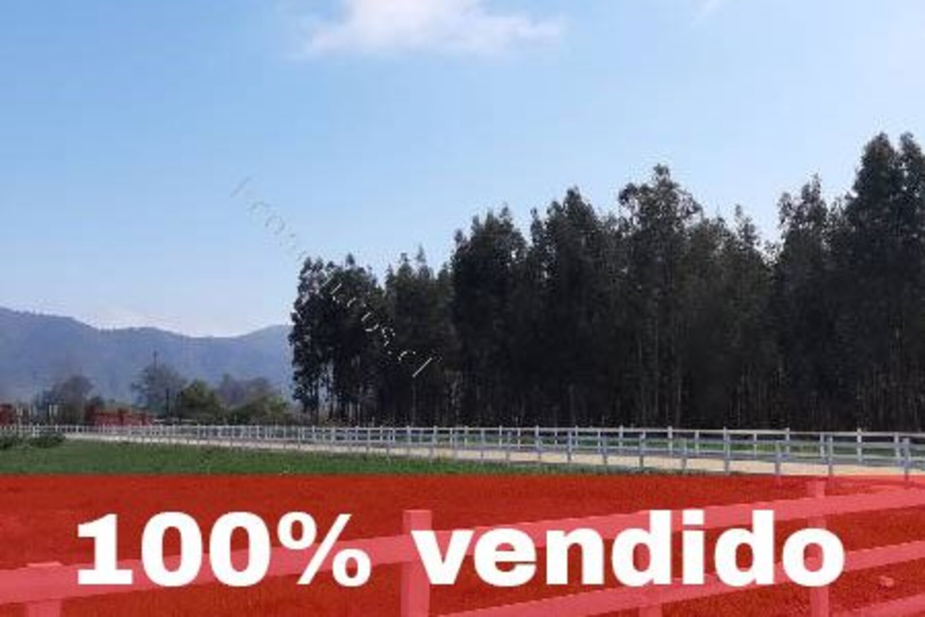 Parcela en La Martina de Colchagua, Región de O'Higgins