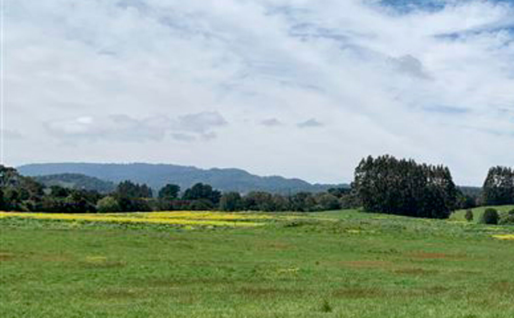 Vista de deslinde y vértices de parcela