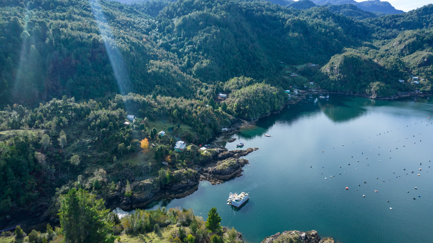 Vista aérea de caleta con viviendas y botes en Sotomó