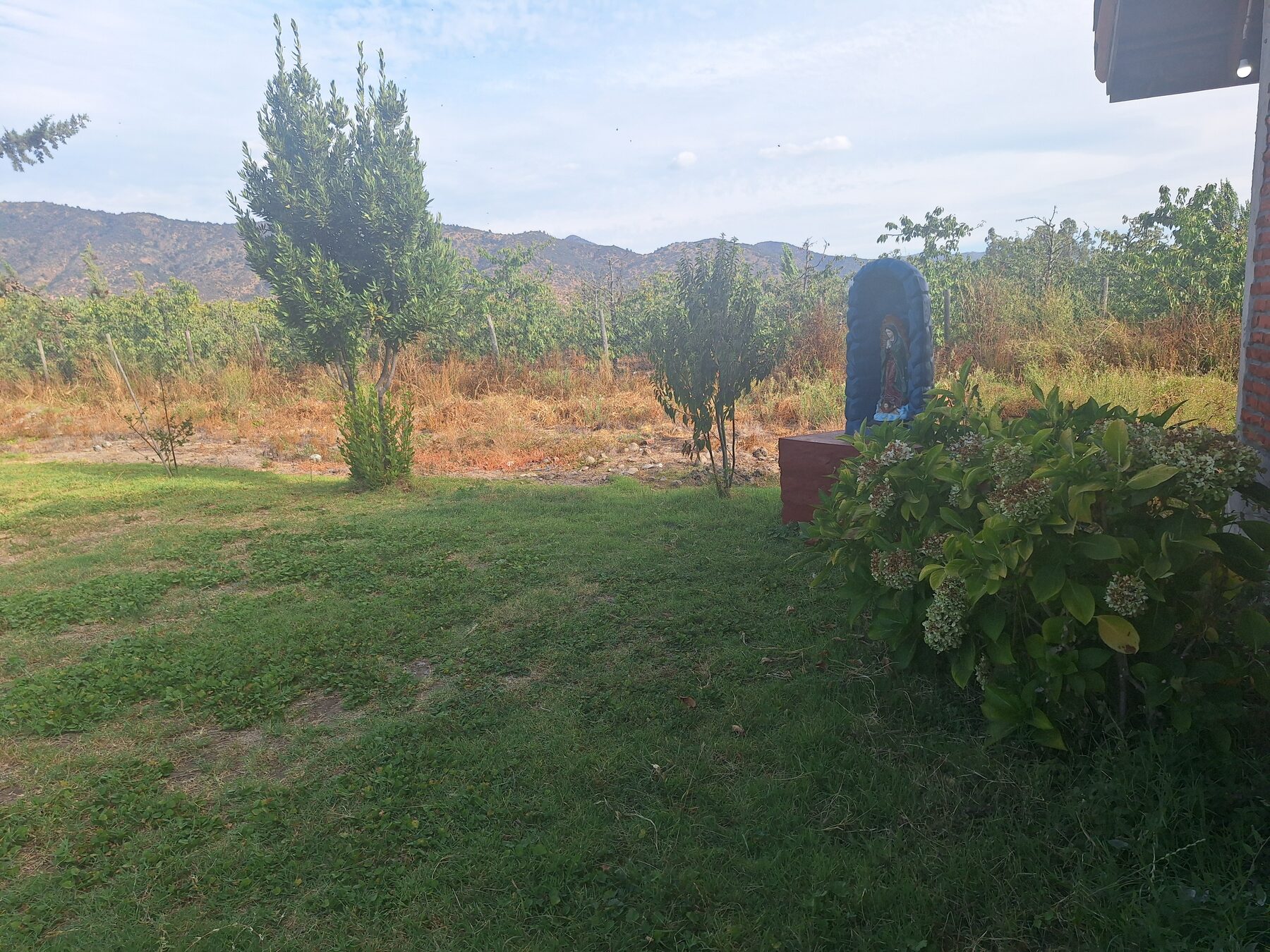 Huerto frutal con galpón y cerros al fondo, Valle del Salto, Pichidegua