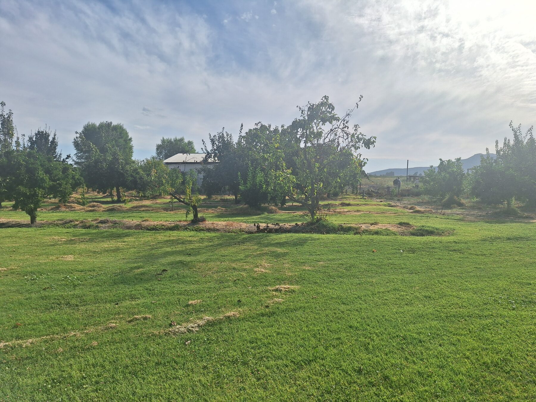 Jardín y huerto en Valle del Salto, Pichidegua